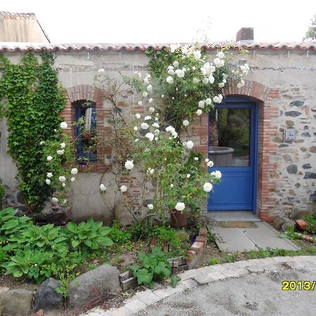 Maison De Charme A Mouzillon - Jardin Et Terrasse Accueillante Kültér fotó