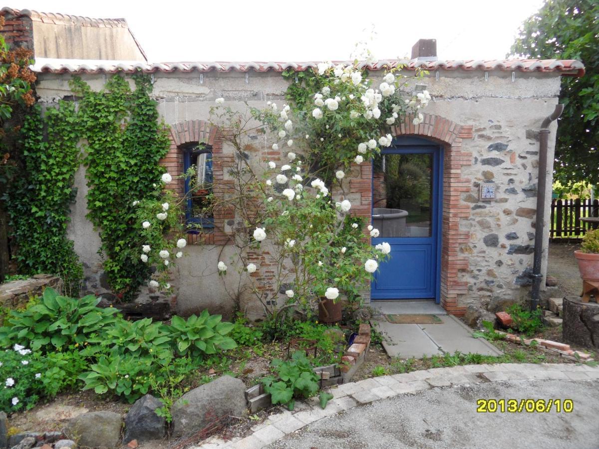 Maison De Charme A Mouzillon - Jardin Et Terrasse Accueillante Kültér fotó