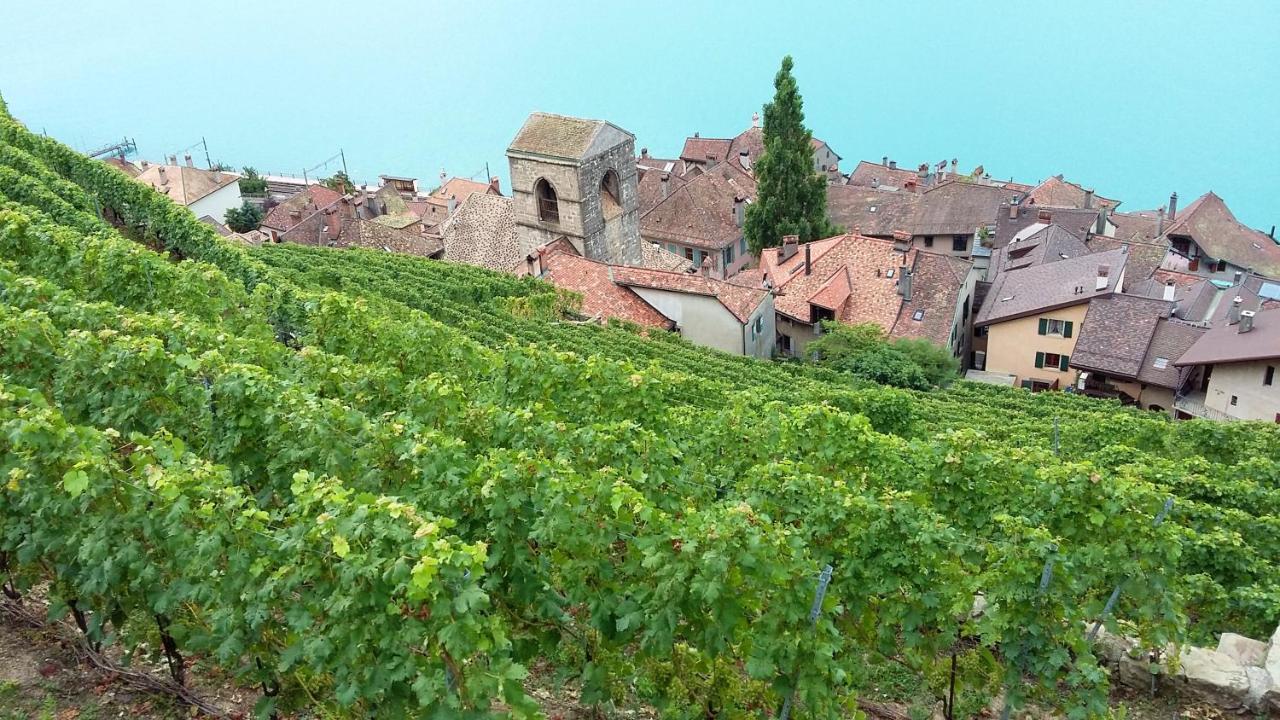 Maison De Charme A Mouzillon - Jardin Et Terrasse Accueillante Kültér fotó